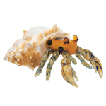 Marble Hermit Crab